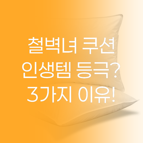 철벽녀 쿠션, 인생템 등극? 3가지 ..