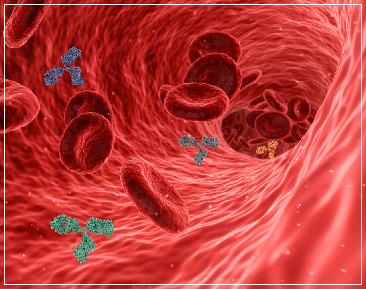 혈관 청소가 필요할 때!