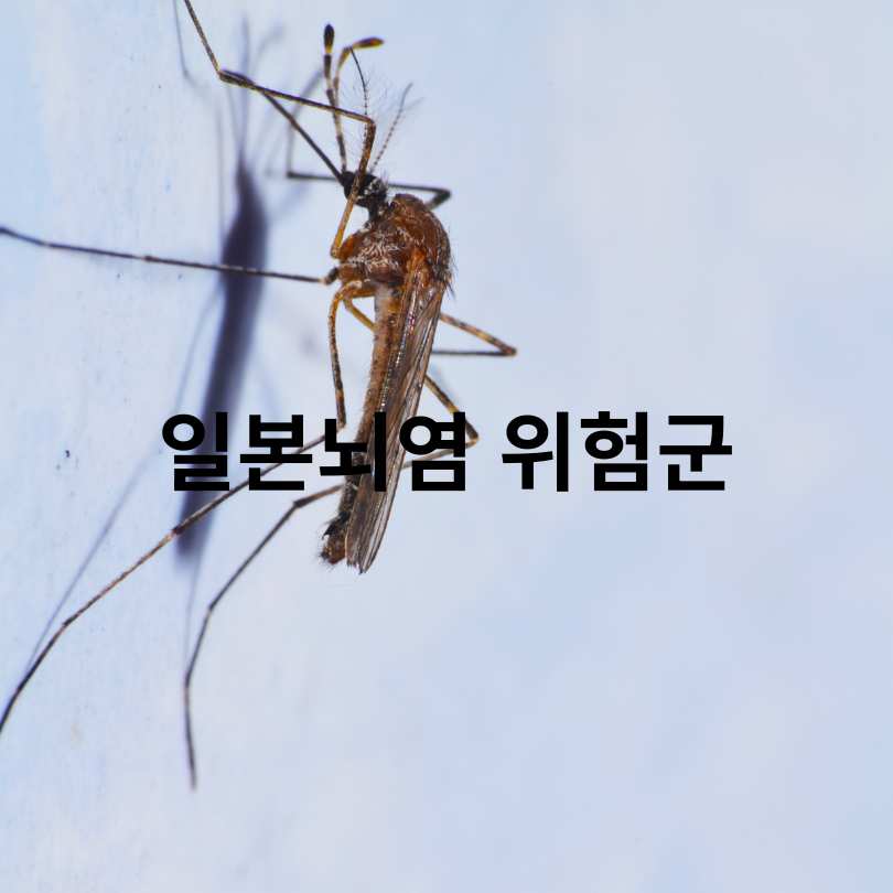 일본뇌염 증상부터 예방법