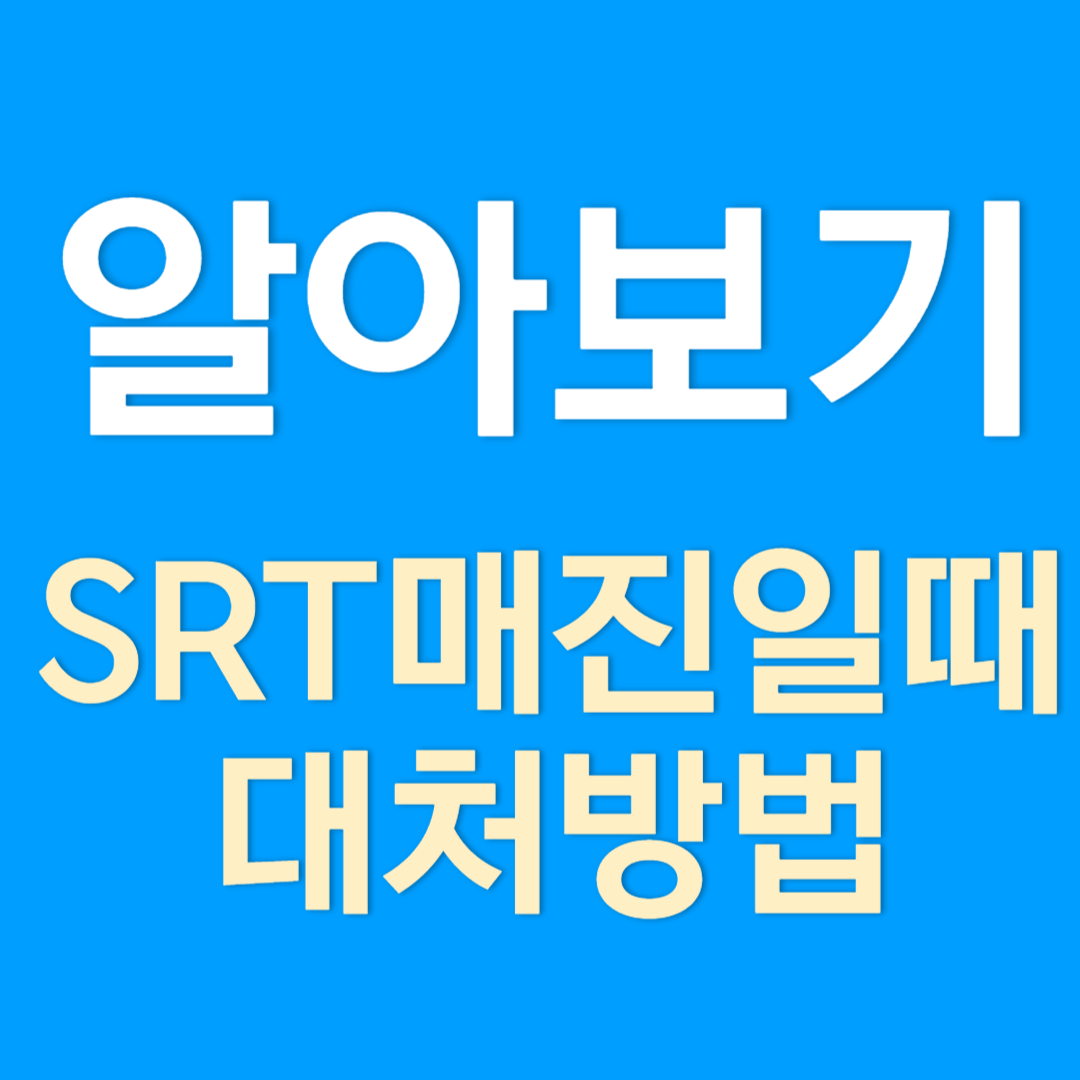 SRT 매진일 때 예매 팁과 타는 방법(후기)