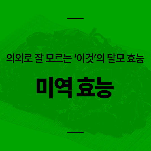 미역 효능