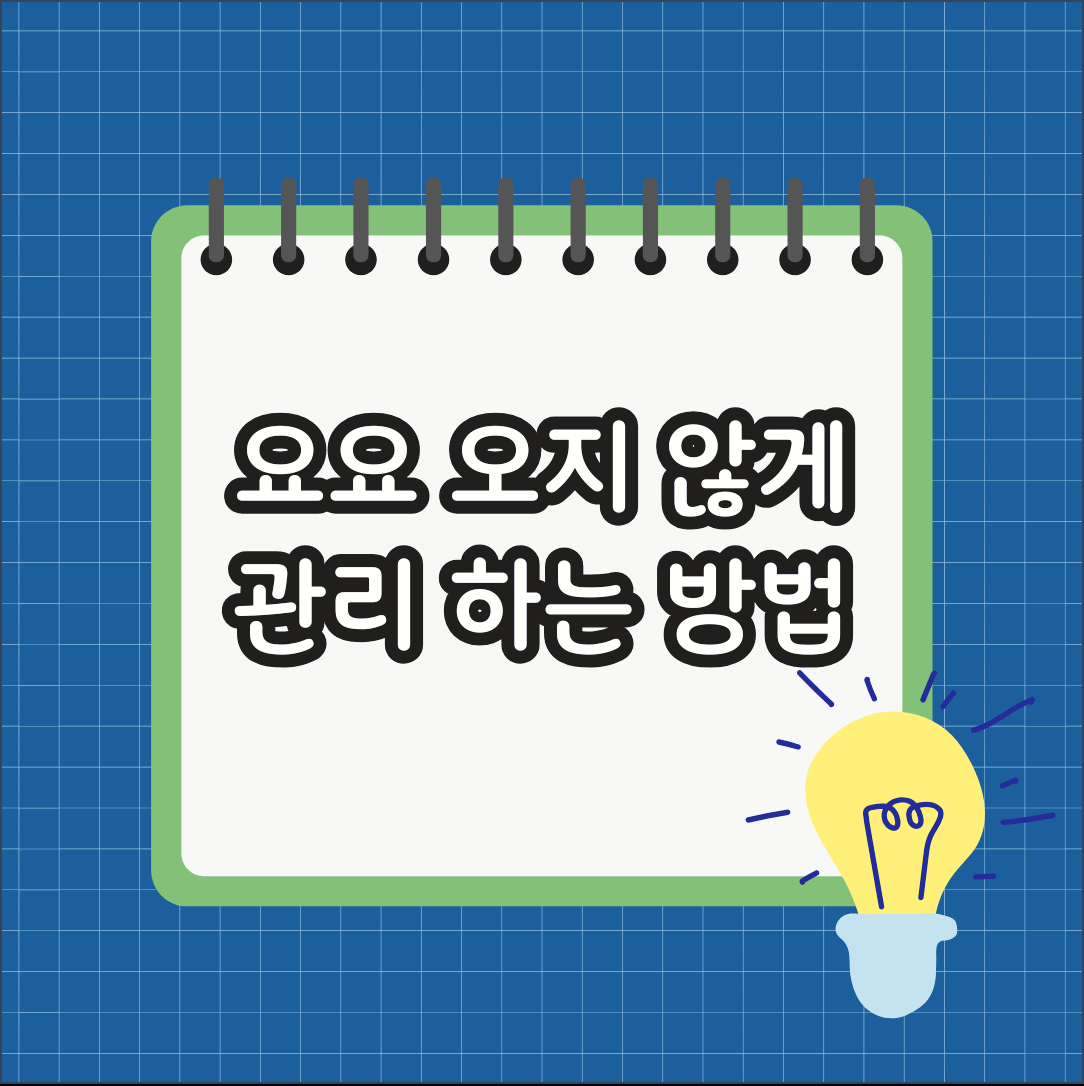 일산다이어트한약 요요 오지 않게 관리 하는 방법