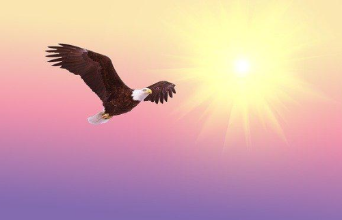 익숙함을 버리고 불편함을 선택하라 어웨이크