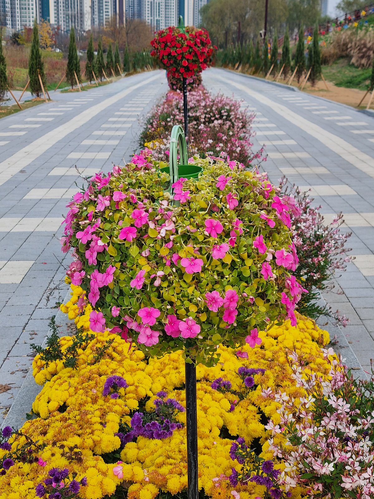 핑크뮬리부터 은행나무길까지, 드림파크 야생화공원 가을 축제와 산책