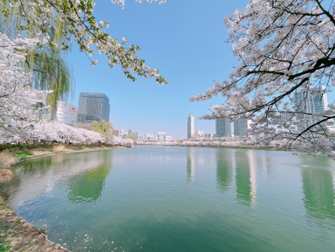 석촌호수 공원 시체
