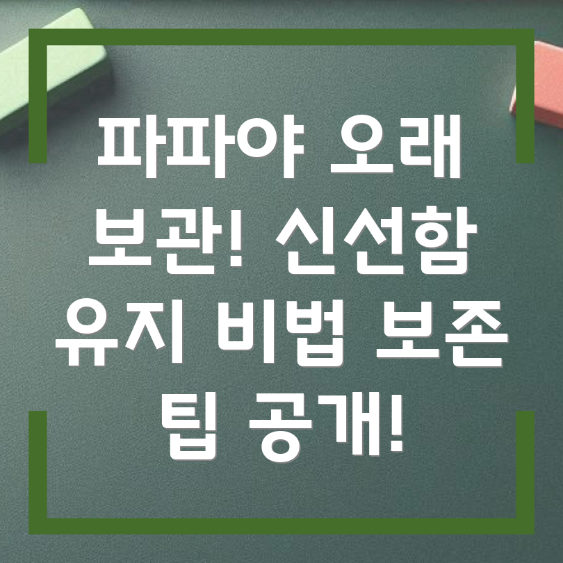 파파야 저장