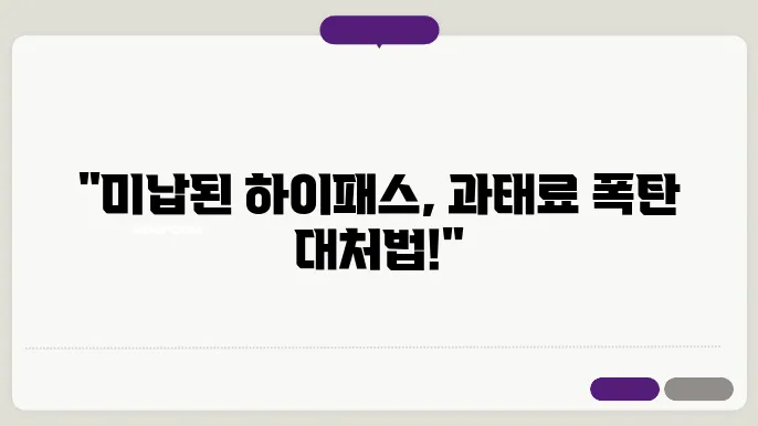 하이패스 미납요금