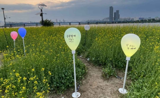 2024년 한강서래섬