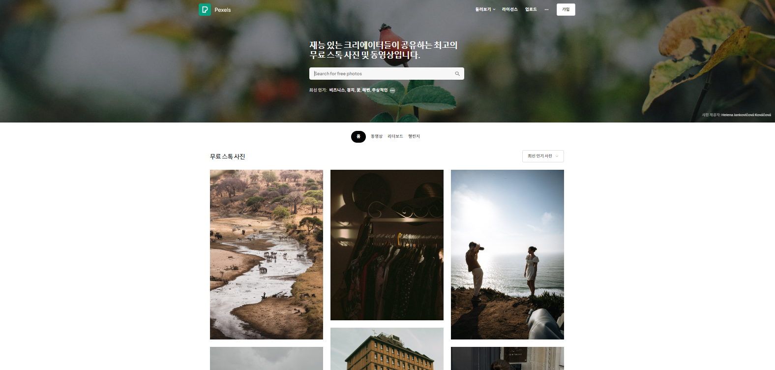펙셀즈 영상 사이트