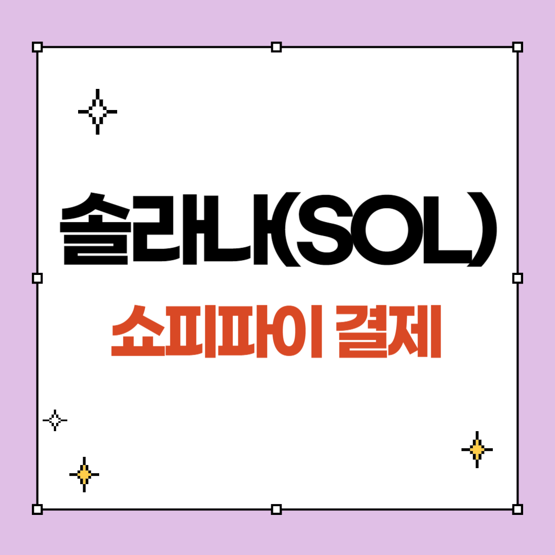 솔라나 쇼피파이 결제 추가