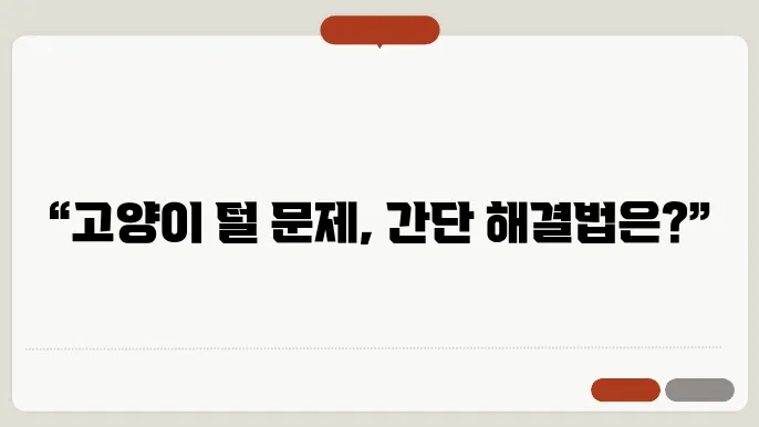 반려동물 고양이 털 관리 비법