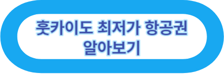 훗카이도 최저가 항공권 알아보기