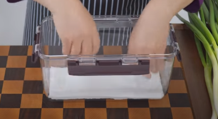 대파보관방법-키친타월깔기