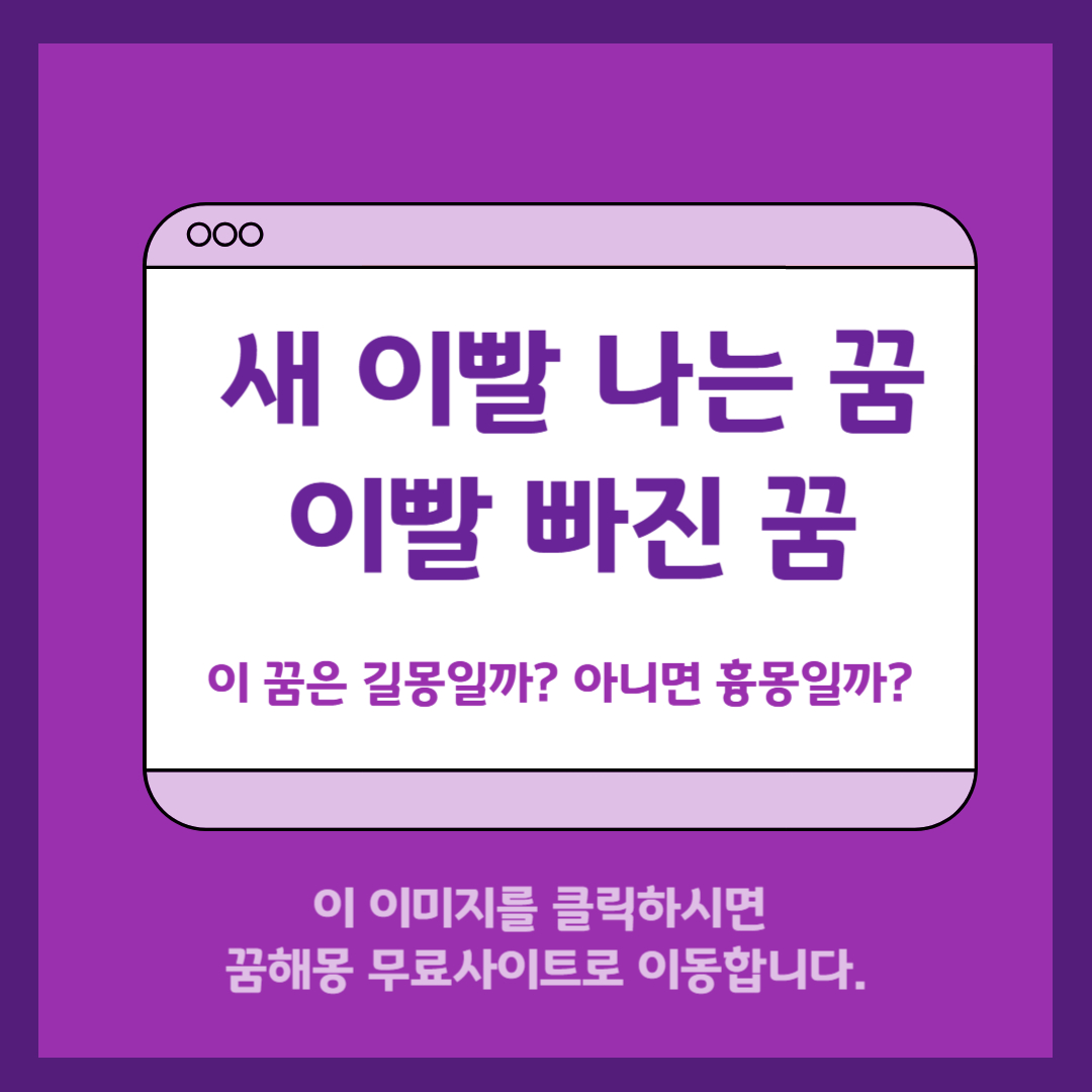 무료 꿈해몽 사이트 추천