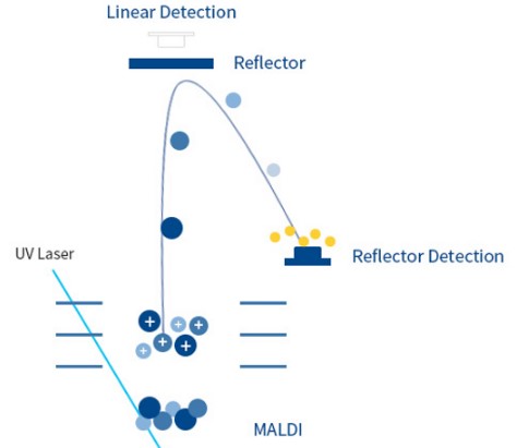 아스타 사우디 투자 유치