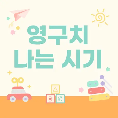 영구치 나오는 시기