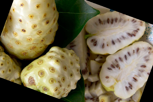 노니 효능 부작용 주스 복용법