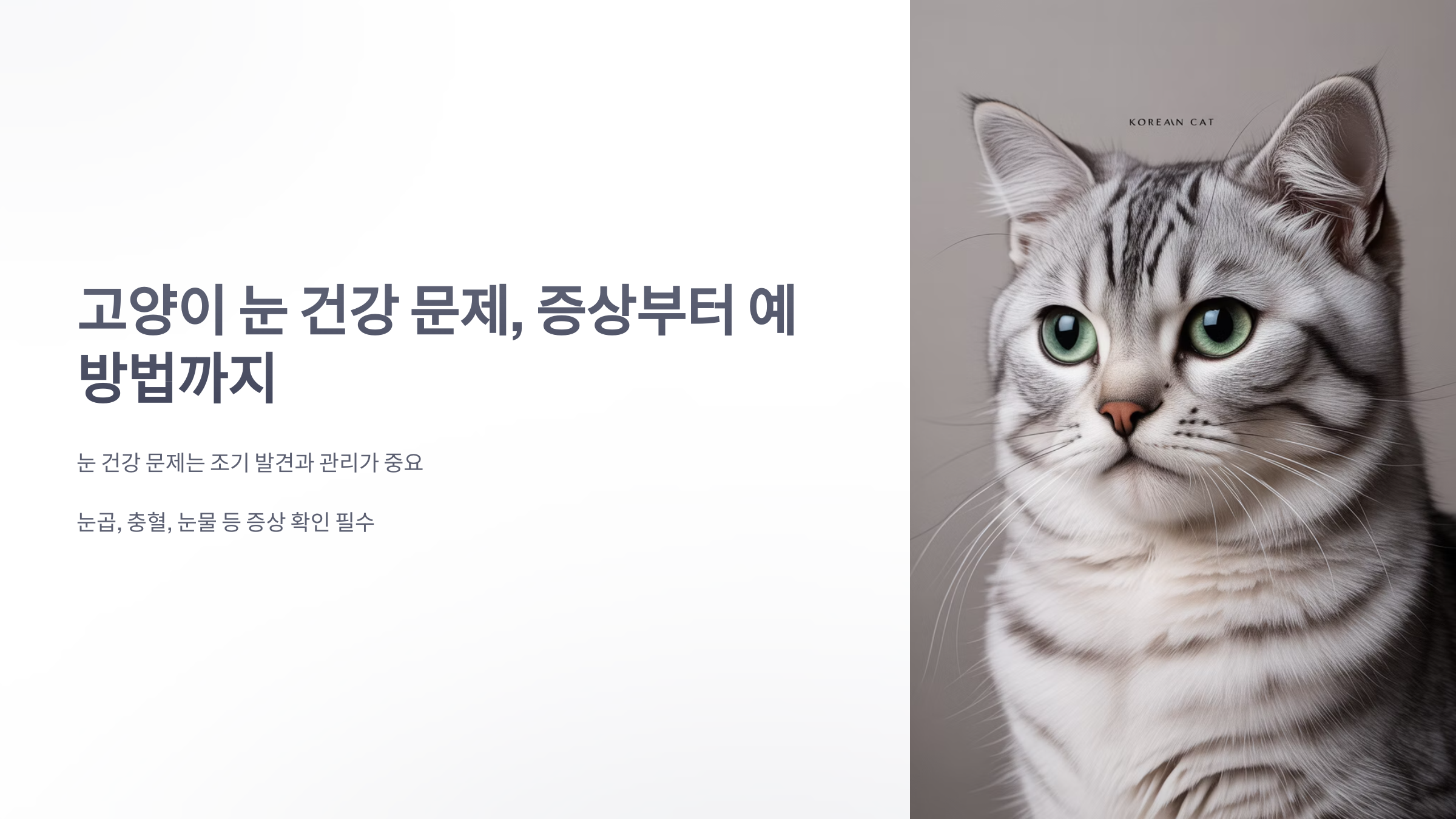 참조-고양이-눈-건강-문제-1