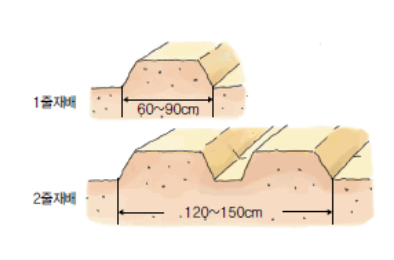 남부,중부지방 고추 파종, 모종 심는 시기, 재배 방법, 수확 시기
