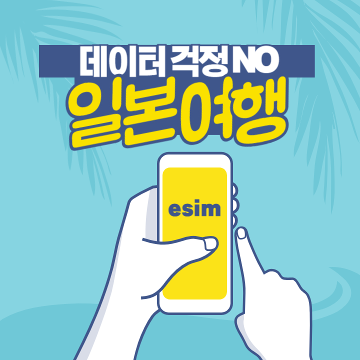 일본 esim