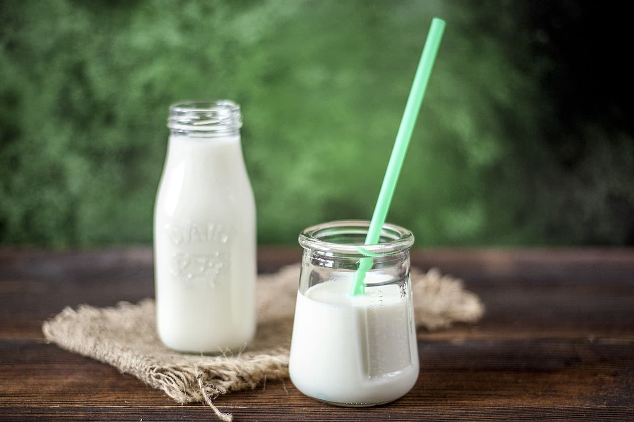 우유 단백질 섬유(Milk Protein Fiber): 숨겨진 기술과 미래 대체섬유 가능성