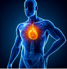 프로폴리스 효능