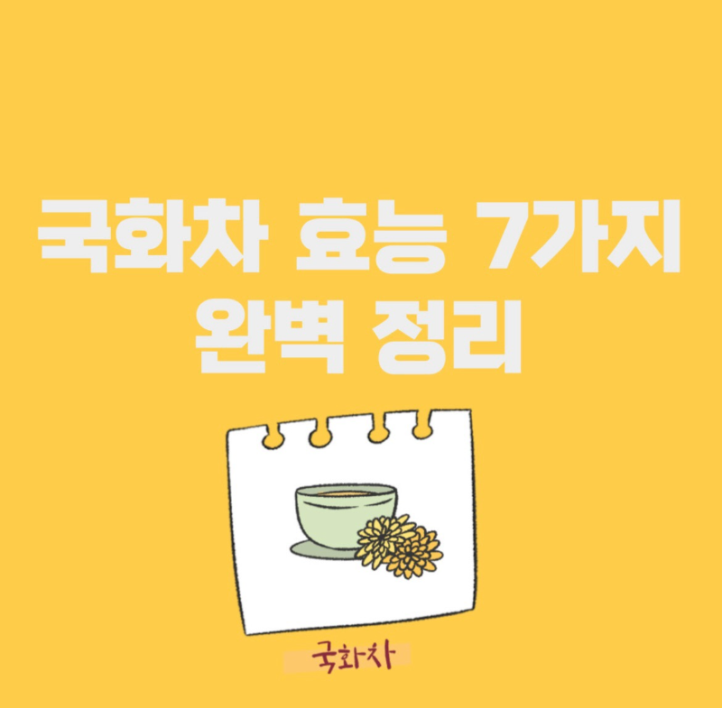 국화차 효능