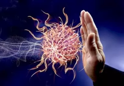 베타-시토스테롤-효능-부작용-건강