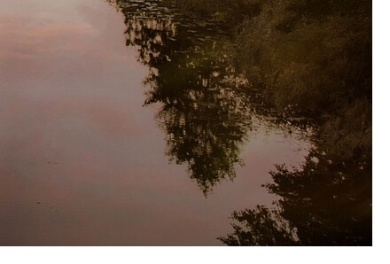 휴가샵