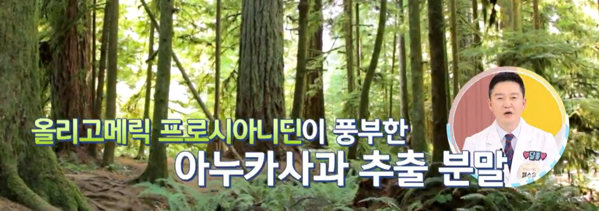 아누카 사과 분말