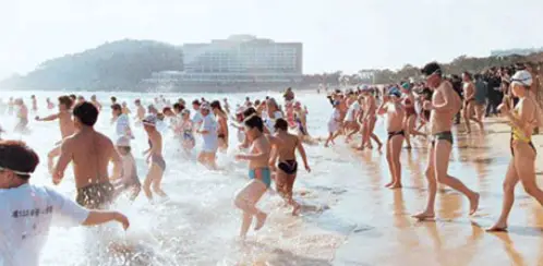 해운대 북극곰 수영대회 일정&middot;참가신청