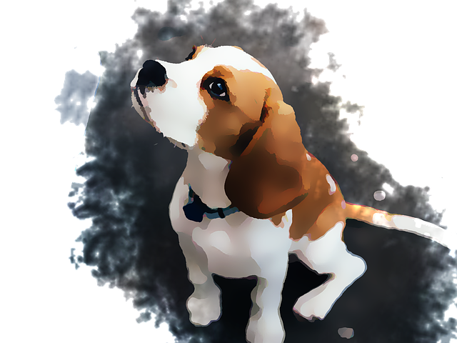 강아지 언어: 반려견의 행동과 감정 신호 해석하기