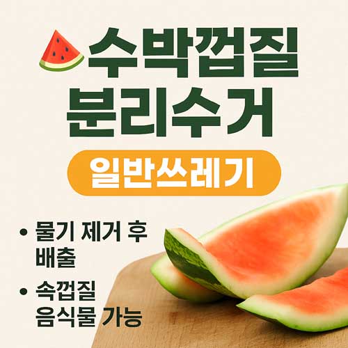 수박껍질 분리수거