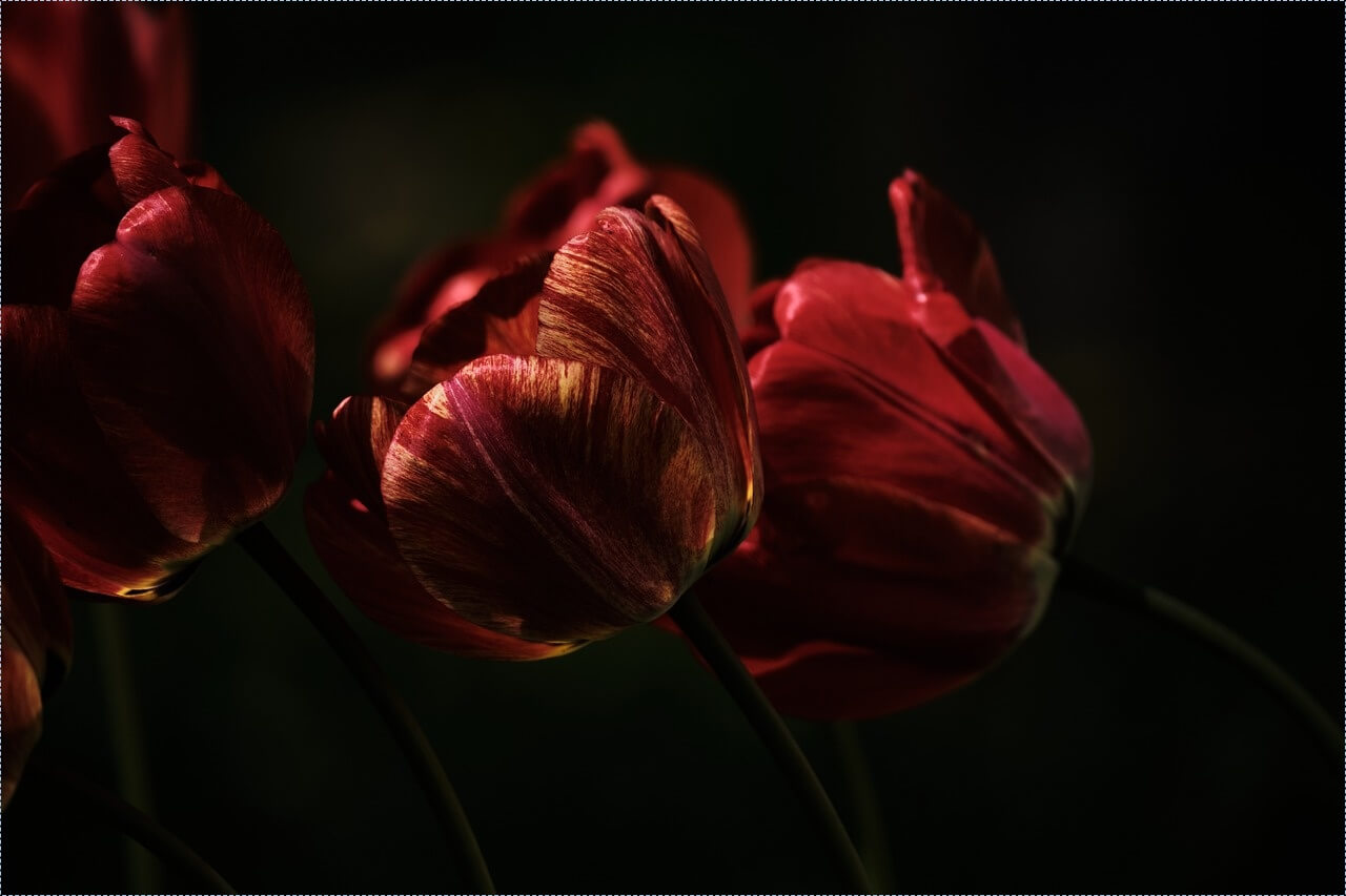 빨래방 창업비용