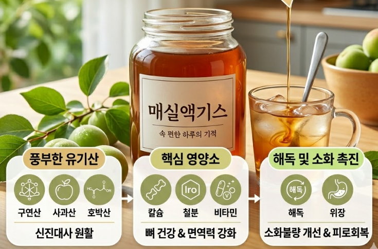 매실액기스 효능