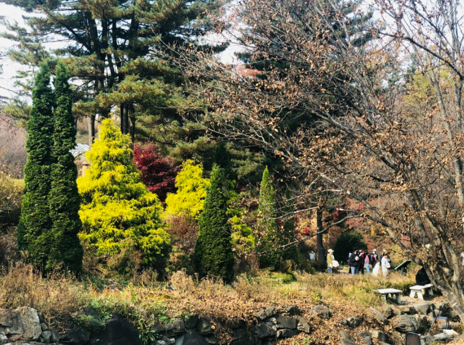 서후리숲