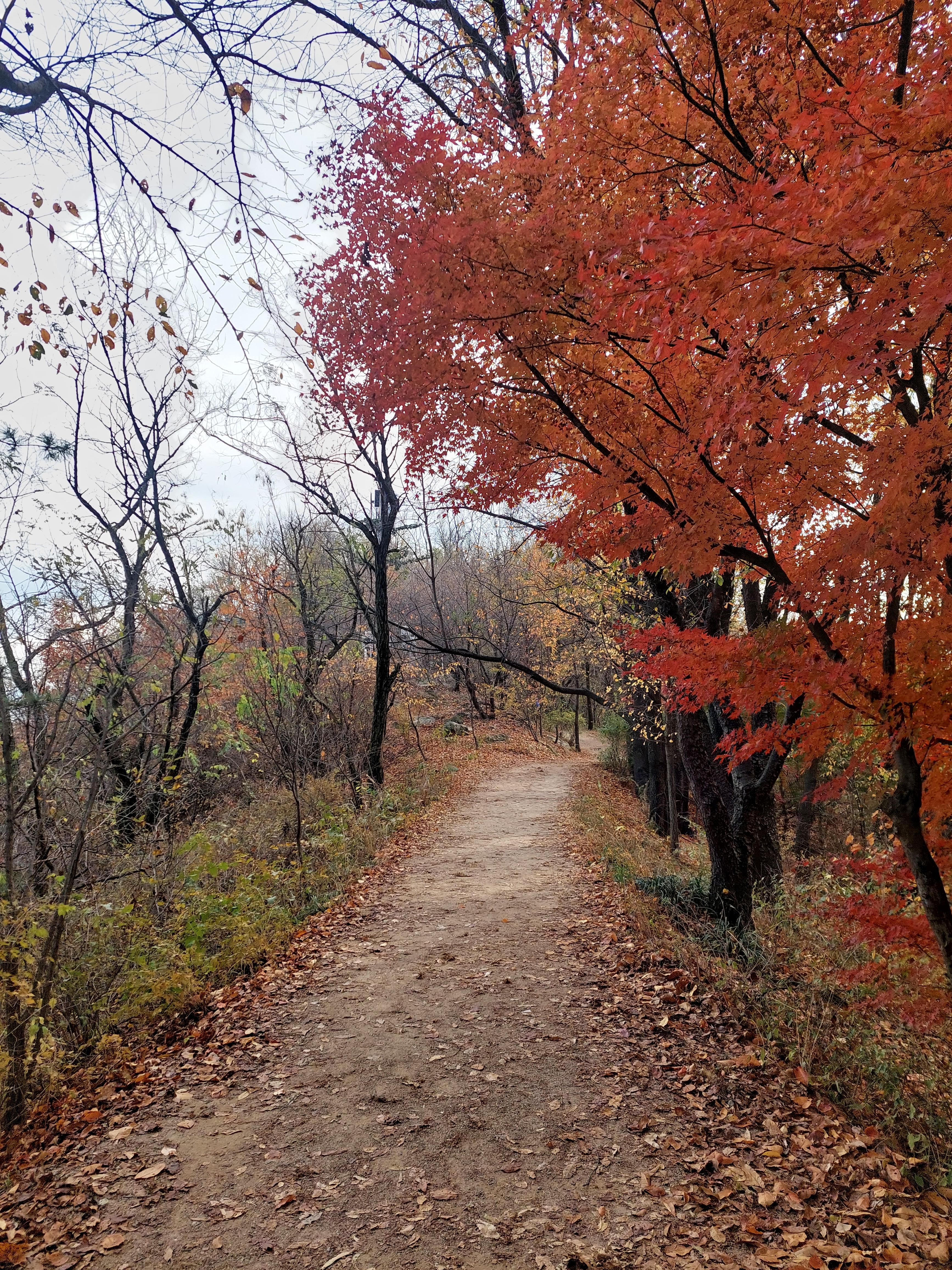 안산