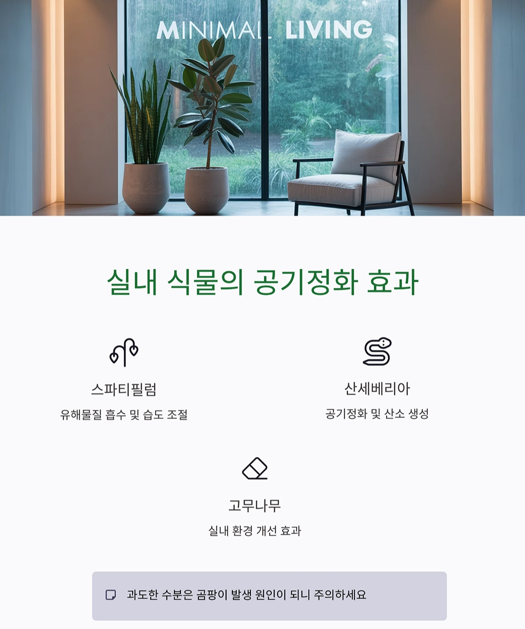 실내 공기질 관리로 폐질환 예방하는 똑똑한 습관