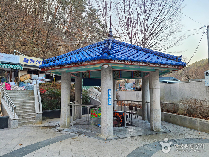 청송 가볼만한곳 베스트10