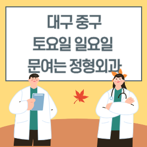 대구 중구 토요일 일요일 정형외과 진료 문여는 병원 리스트