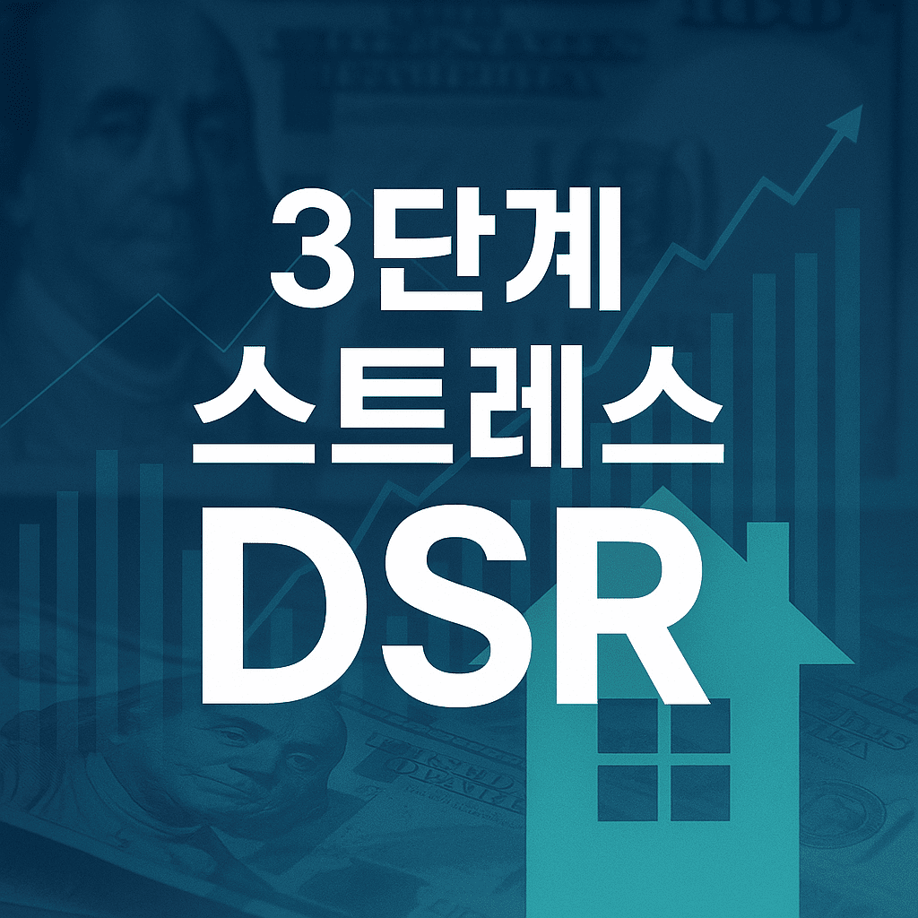 3단계 DSR