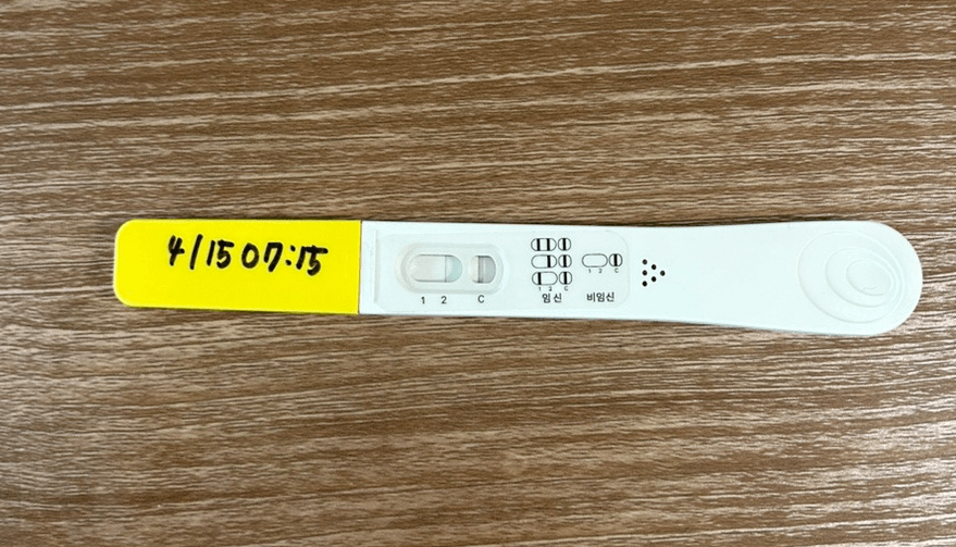 두 줄 임테기부터 아기집 확인까지! 쌍둥이 임신 초기 경험담