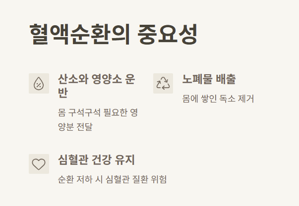 왜 혈액순환이 중요할까요 이미지