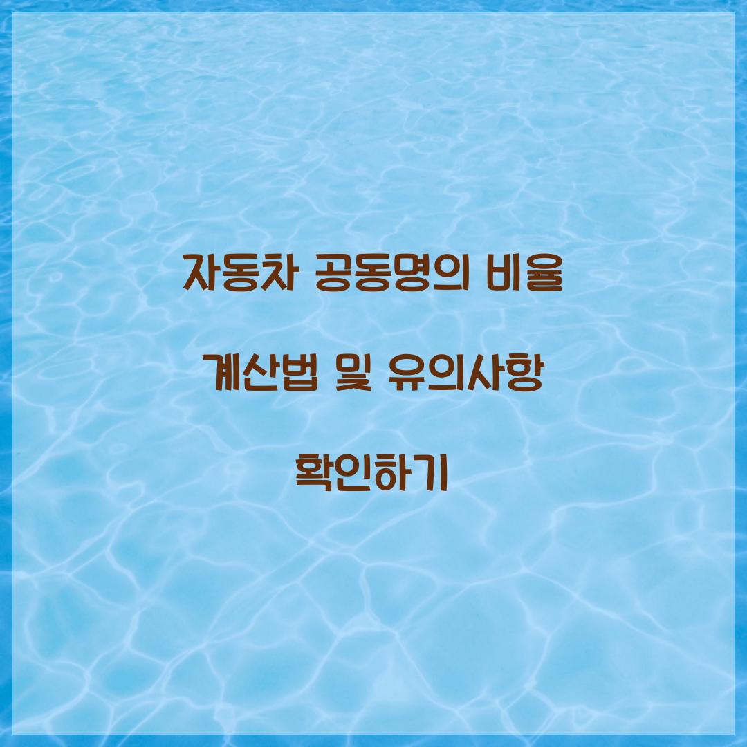 자동차 공동명의 비율