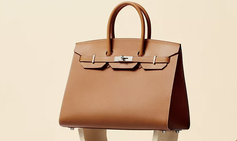 에르메스 버킨백