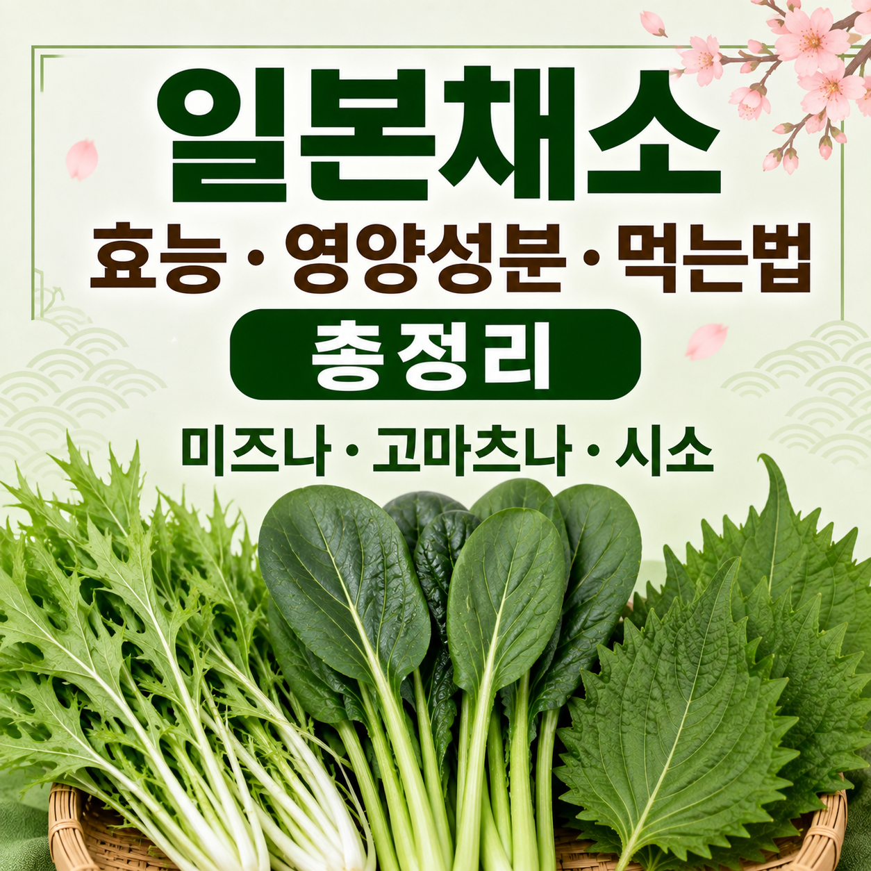 일본채소
