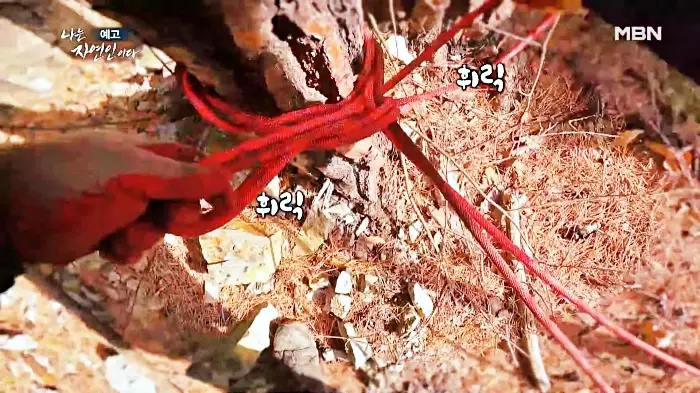 나는-자연인이다-이승윤