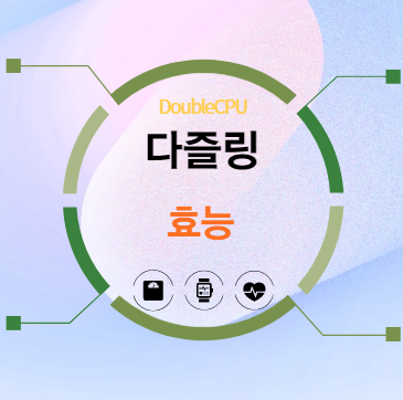 다즐링 효능 탐구