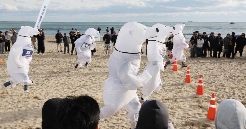 해운대 북극곰 축제 북극곰러닝