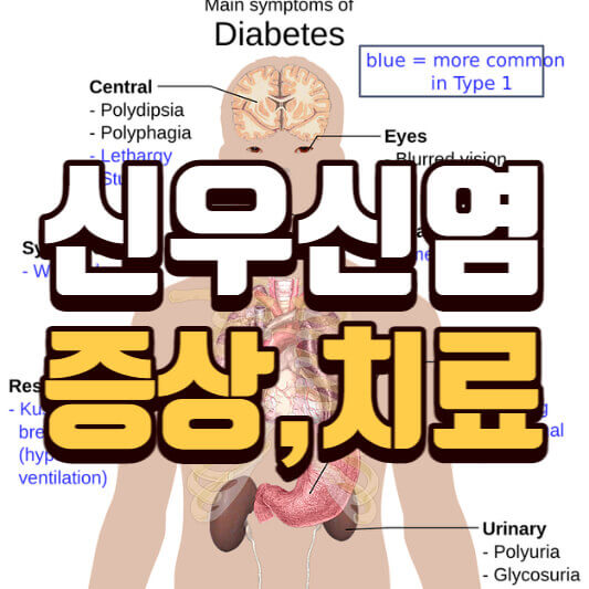 신우신염증상-치료-원인